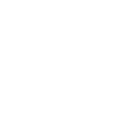 Quora Icon