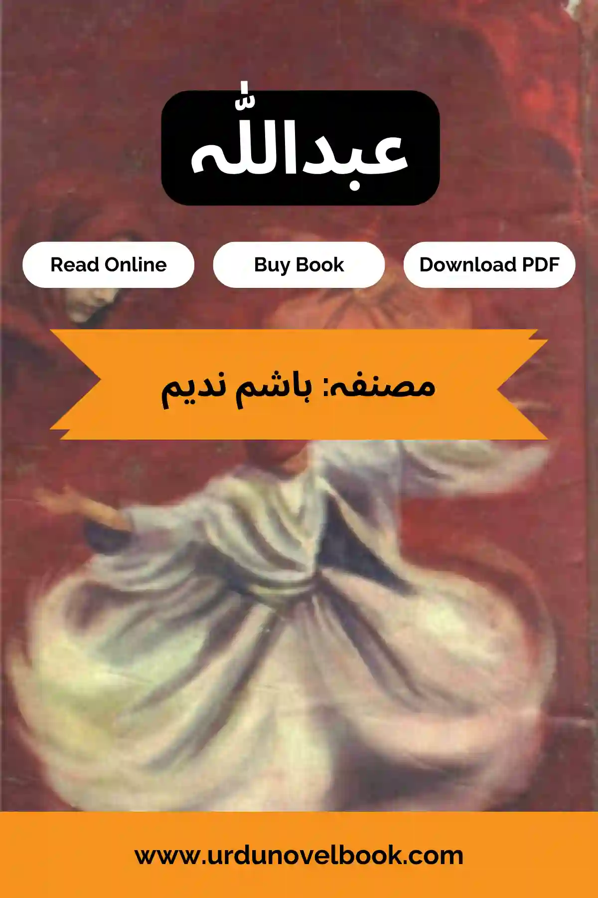 abdullah novel by hashim nadeem-urdu novel book