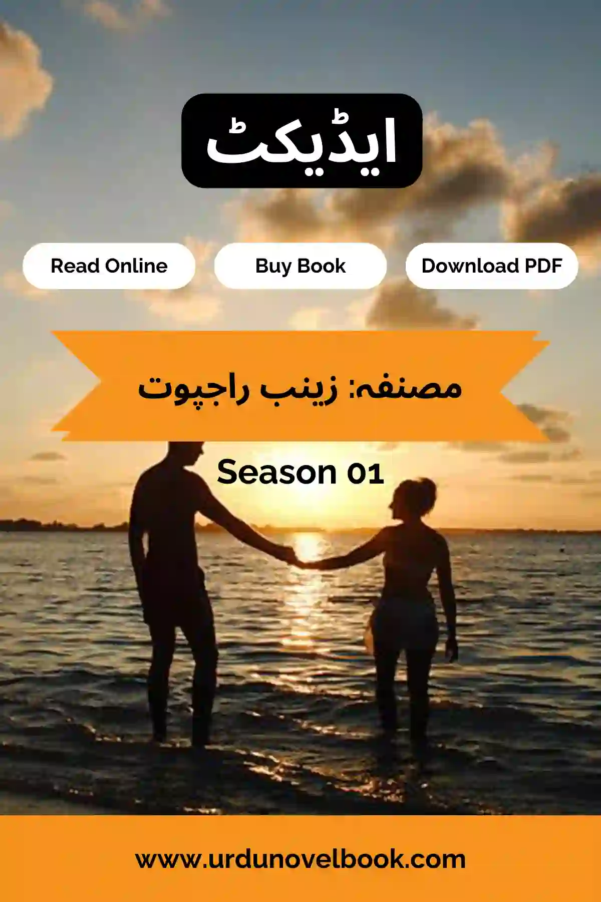 Addict Novel Season 1 By Zainab Rajpoot