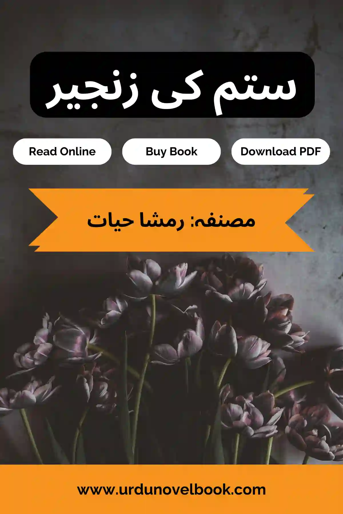 Sitam Ki Zanjeer Novel By Rimsha Hayat